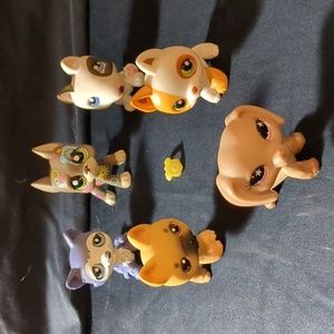 LPS dog lot